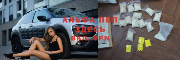 гидра Володарск