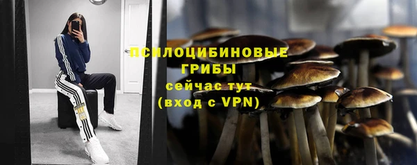 соль ск Волоколамск