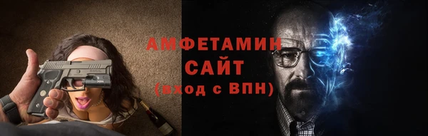 гидра Володарск