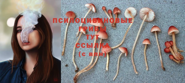 гидра Володарск