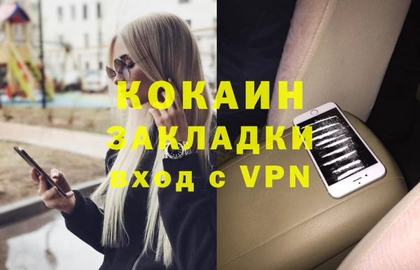 гидра Володарск