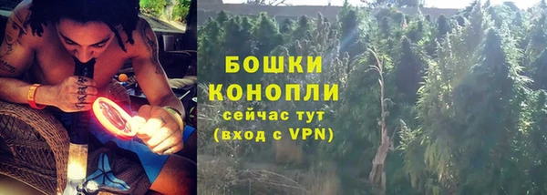 гидра Володарск