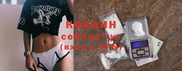 гидра Володарск