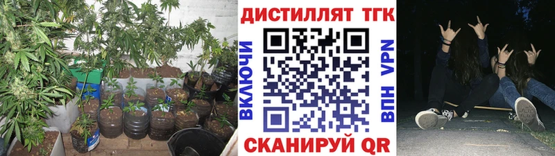 Дистиллят ТГК Wax  сайты даркнета наркотические препараты  Муром 